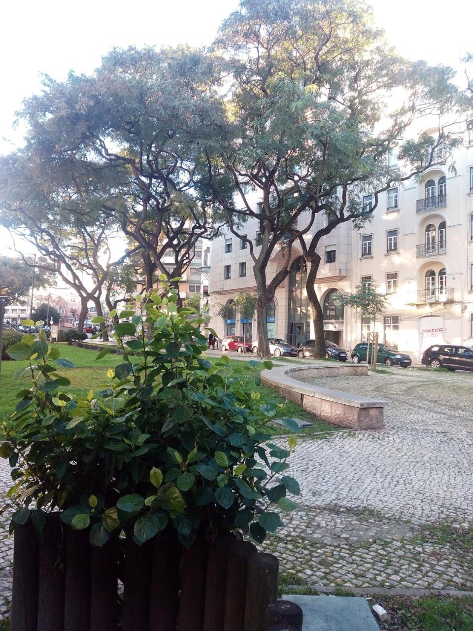 Bed and breakfast Apolo Lisboa